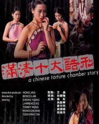 A Chinese Torture Chamber Story